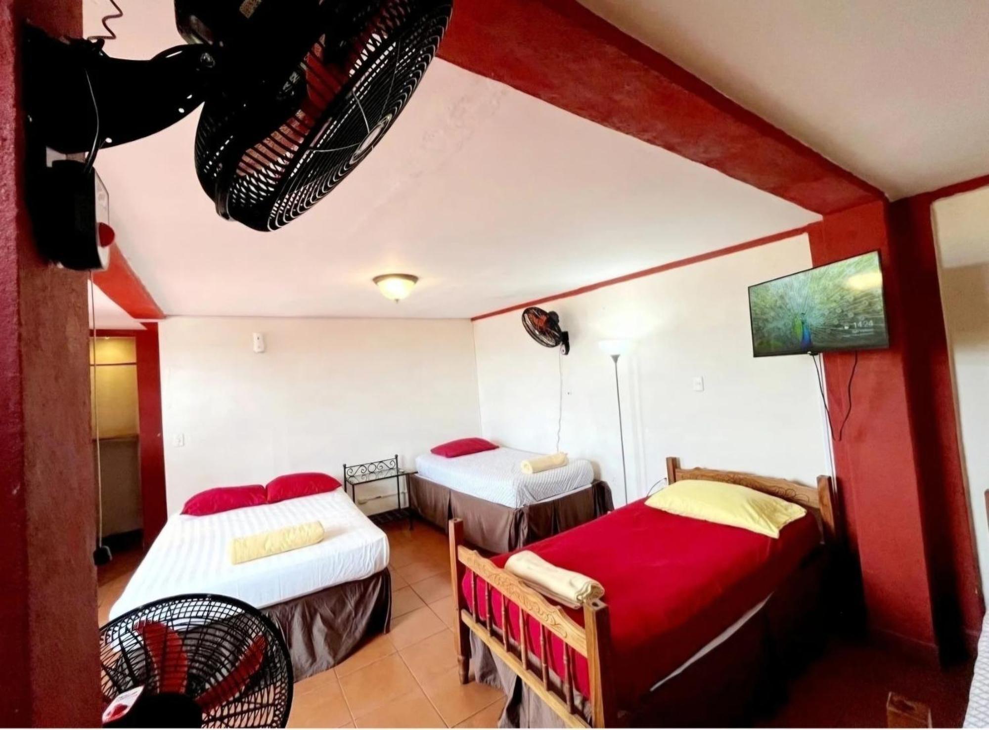 גרנאדה Hostal Lolita'S Boutique מראה חיצוני תמונה